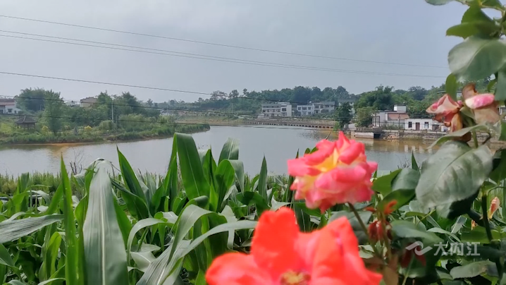 282035_1626075124213726.png 微信图片_20210712153013.png