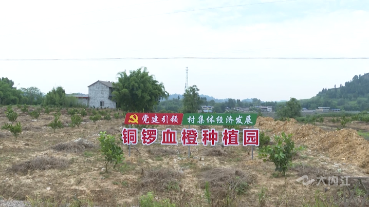 282035_1626082524373760.png 微信图片_20210712173155.png
