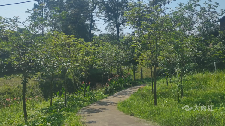 282035_1626407208478218.png 微信图片_20210716111908.png