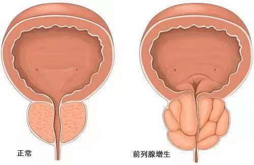 283234_1627349884759386.jpg 图片3.jpg