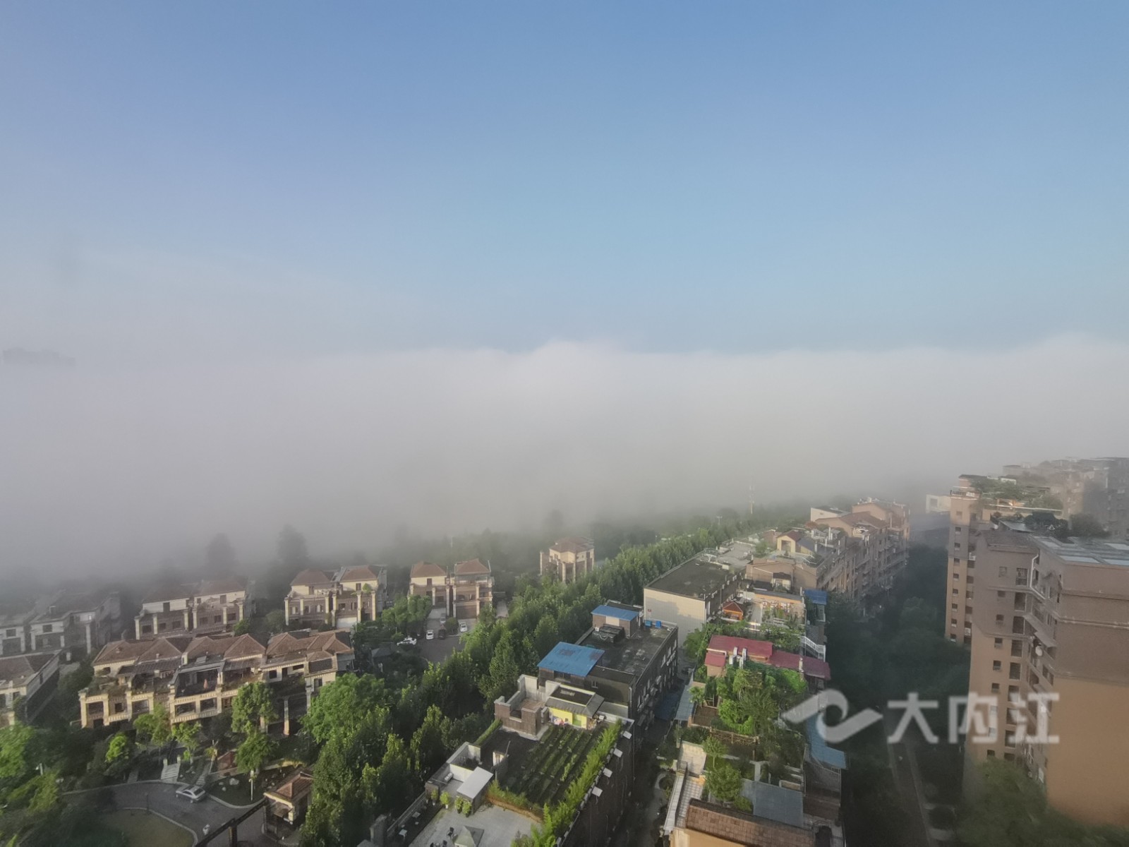 286033_1626829709159038.jpg