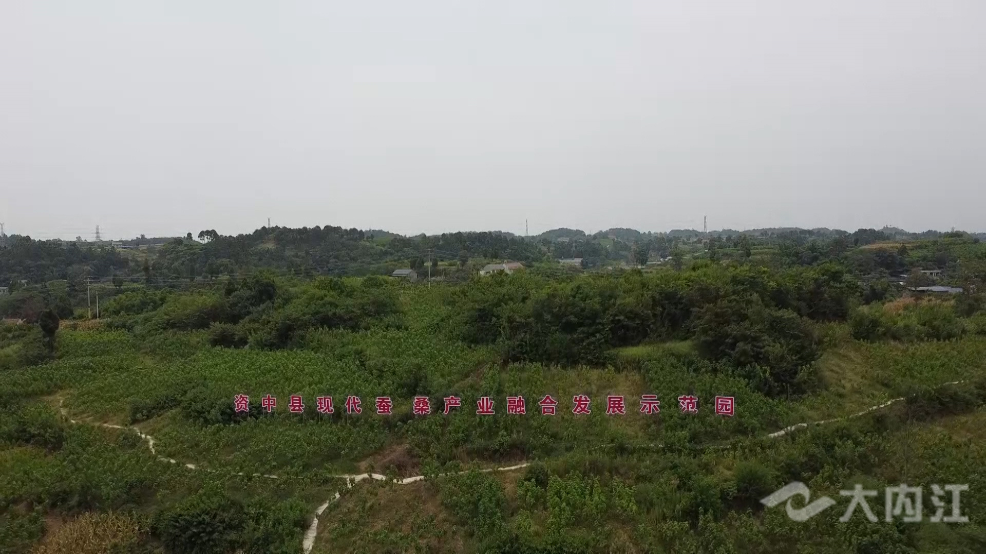 281876_1628837015128237.jpg 微信图片_20210813144202.jpg