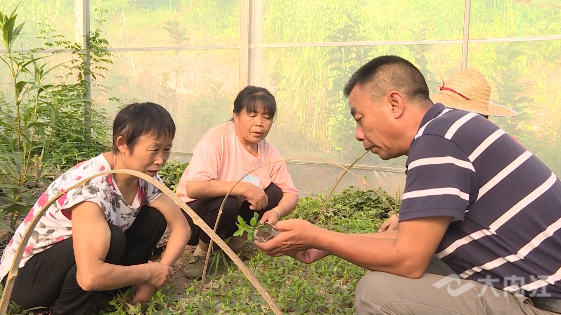 281876_1628838146564340.jpg 微信图片_20210813150042.jpg