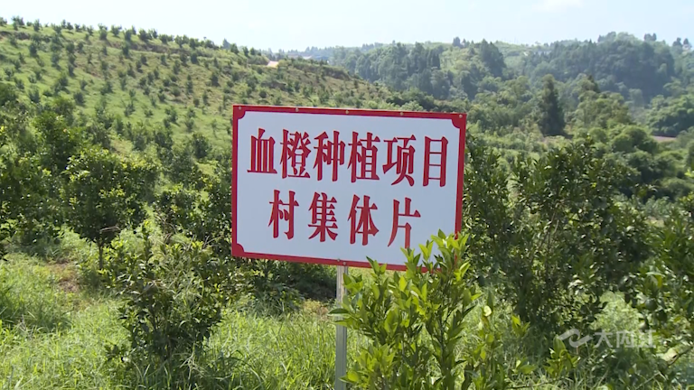 282035_1629100200346521.png 微信图片_20210816154908.png