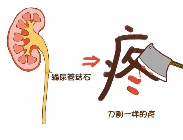 283234_1629448288416072.jpeg 图1.jpeg