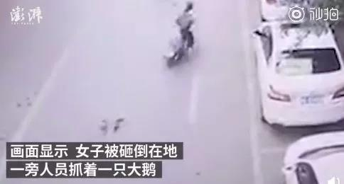 285482_1627974581529302.png 图片4.png