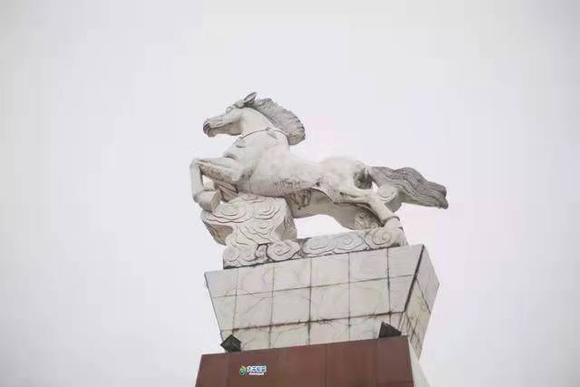 286033_1632472595759288.jpg 白马.jpg