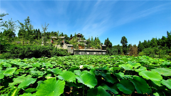 286033_1632833030761965.jpg 自重民俗.jpg