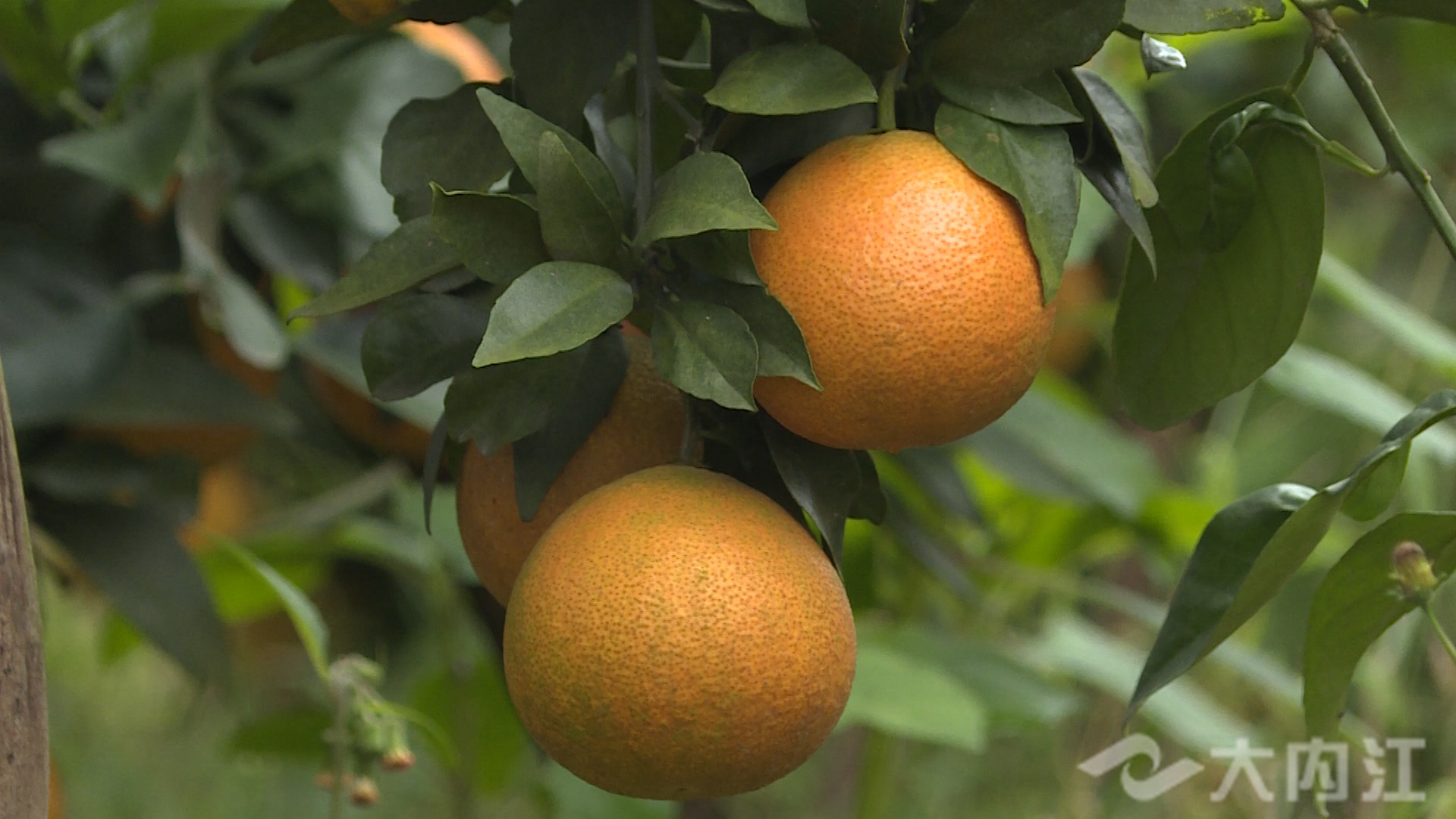 281876_1635842790897730.jpg 微信图片_20211102164436.jpg