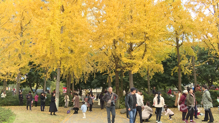 282035_1637807801483436.png 微信图片_20211125103558.png