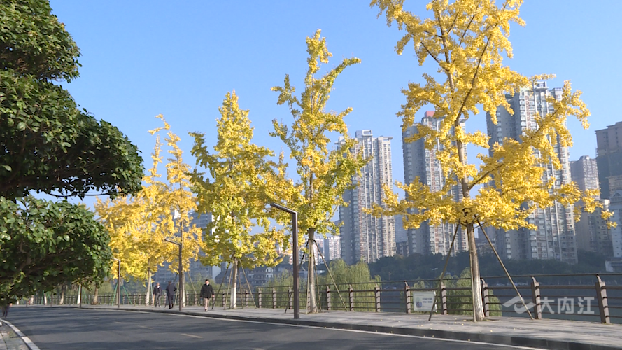 282035_1637807905198774.png 微信图片_20211125103748.png
