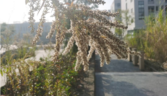 282126_1638066479428351.png 微信截图_20211128102724.png