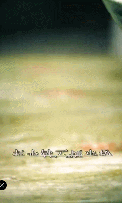 GIF.gif 图片