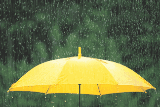 286033_1637910529768204.gif 下雨.gif