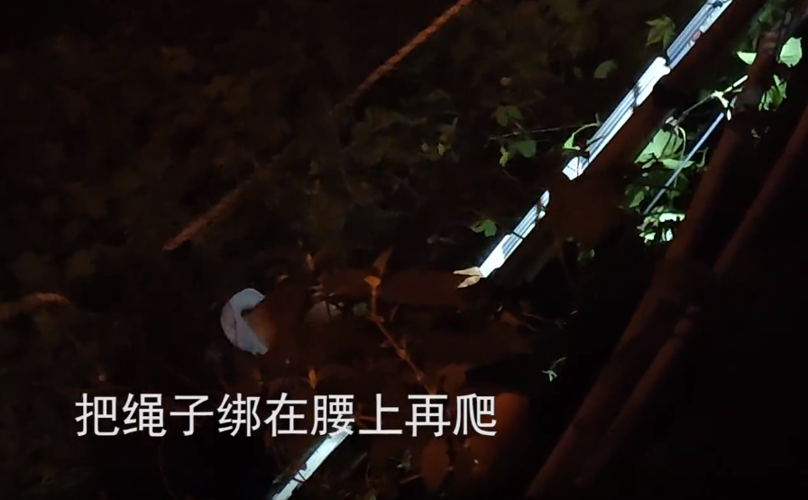 286033_1638187740392190.png 微信截图_20211129200826.png