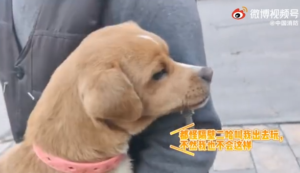 286144_1638150448709467.png 微信截图_20211129094808.png