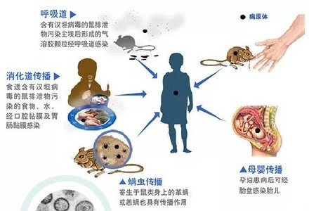 269955_1640011181497750.png 图片3.png
