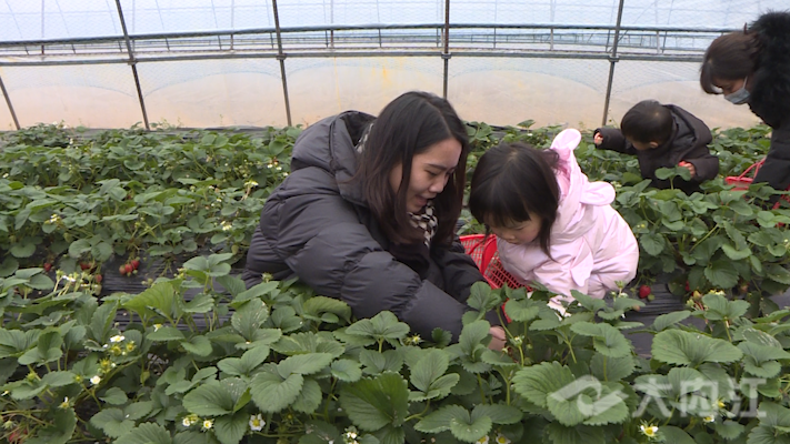 微信图片_20220111111714.png