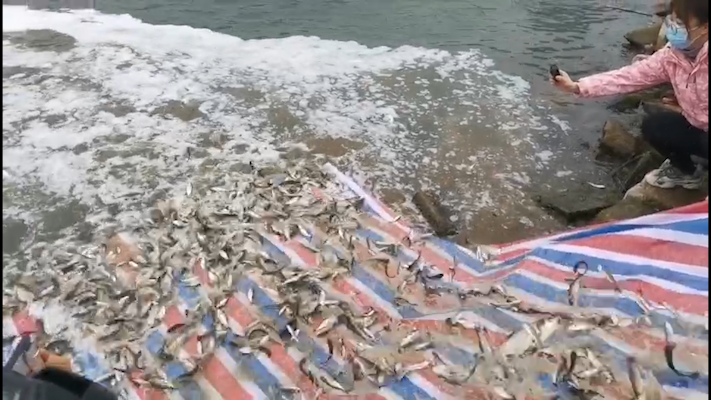 281876_1642066591110847.png 微信图片_20220113173613.png