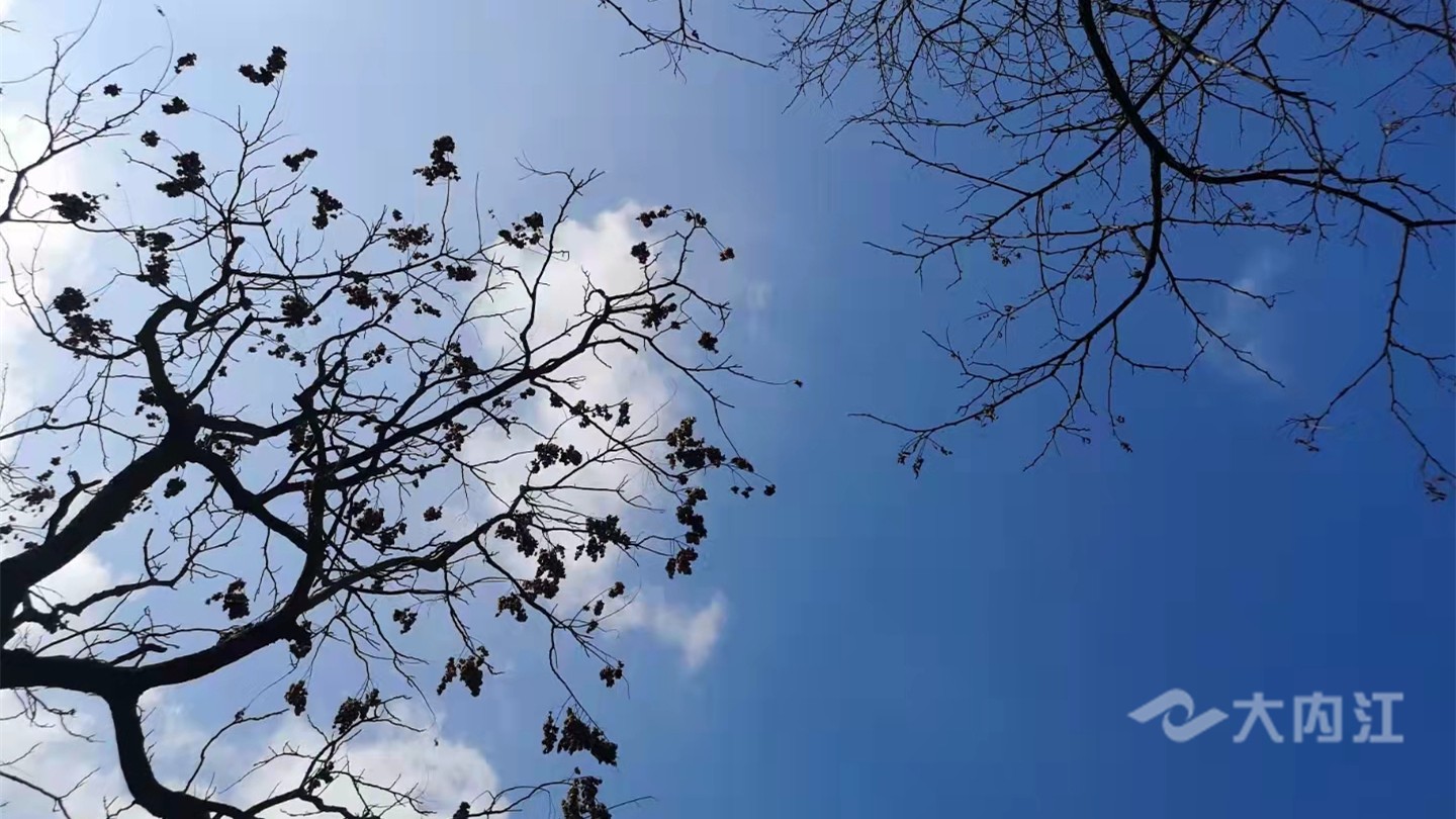 269955_1644562609181793.jpg