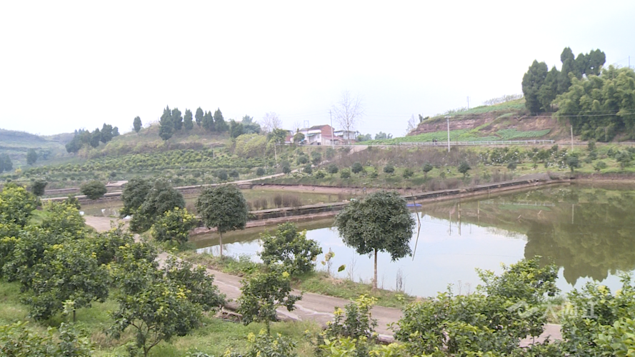 282035_1644205623871572.png 微信图片_20220207114528.png