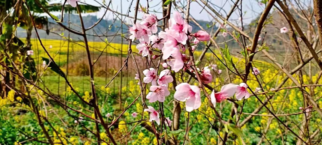 282126_1646037005296229.png 微信截图_20220228162925.png