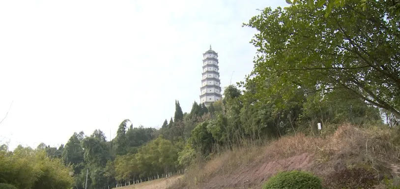 281876_1644896061767317.png 图片