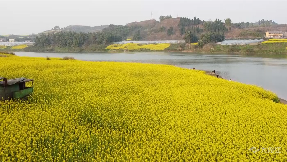 269955_1646645974446418.png 微信图片_20220307171231.png