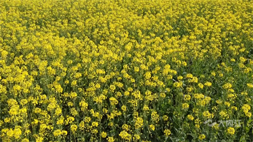 286033_1646189949170252.png 微信图片_202203021046071.png