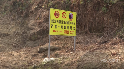 286033_1647058025225292.png 微信截图_20220312120538_副本.png
