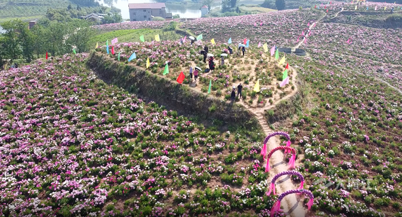 微信截图_20220411092427.png