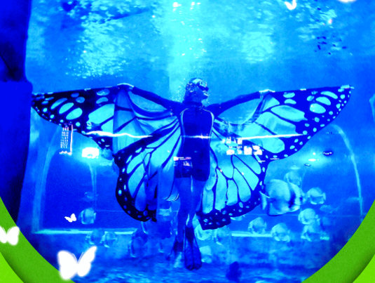 286033_1648784946397752.png 微信截图_20220401114852.png
