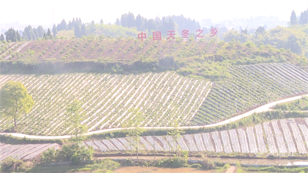 286033_1650593259803367.png 九三学社1.png