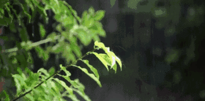 286033_1650701442929406.gif 7a64593c8c501f1b69184c8eaa5d28b5.gif