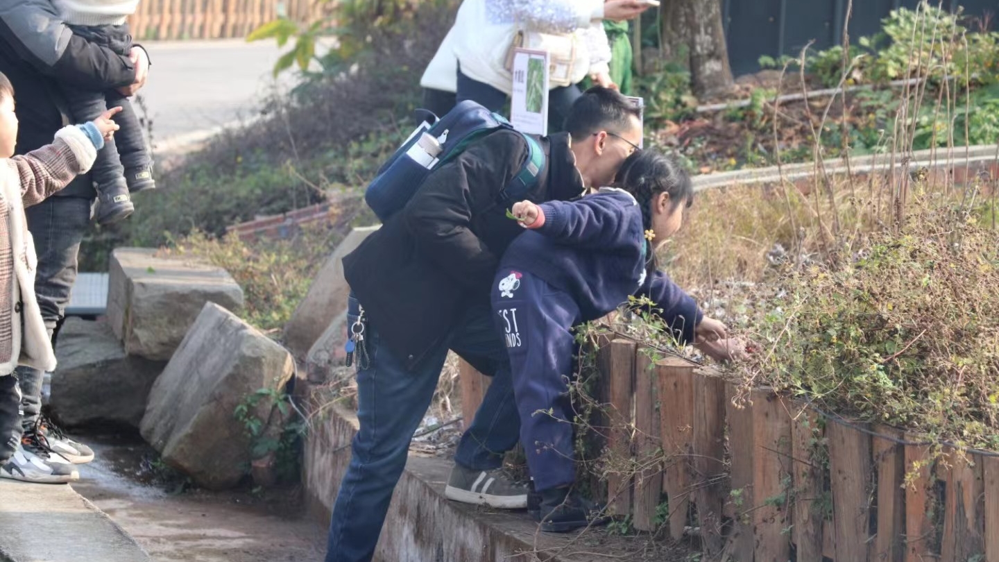 282419_1653533889973642.jpg 寻宝_副本.jpg