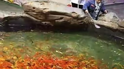 282419_1653555218913118.jpg 微信图片_20220526165202_副本.jpg