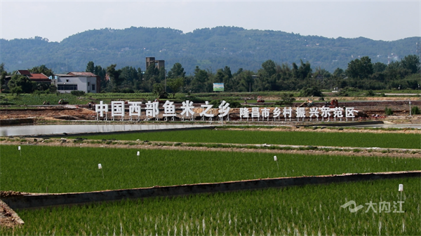 286033_1653388889300180.png 隆昌6.png