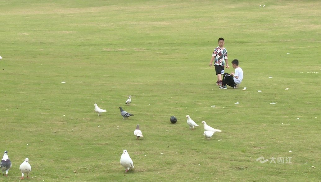 269955_1654249119267898.png 微信截图_20220603173702.png