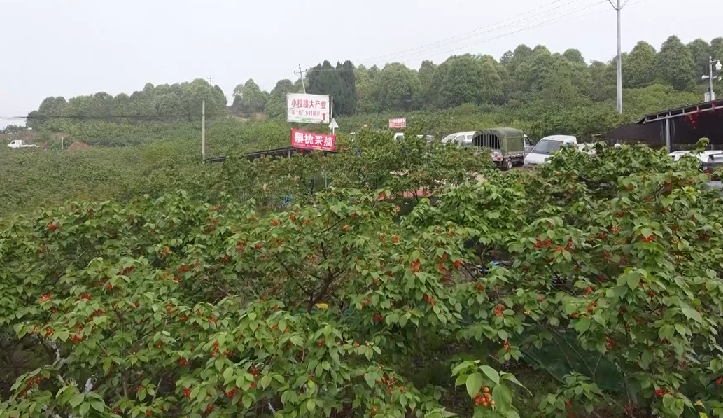 269955_1656129032552136.png 微信截图_20220625114828.png