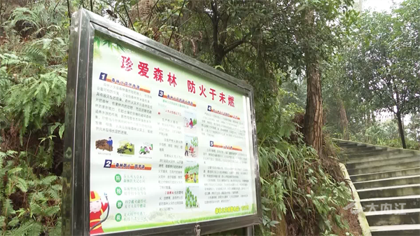 286033_1654746085314789.png 森林防火1.png