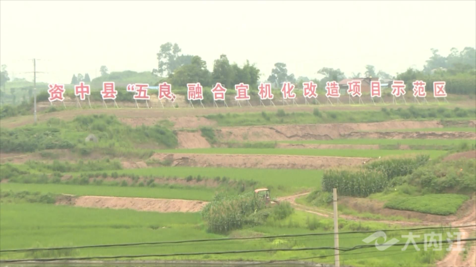 320608_1656590666209694.jpg 揭榜挂帅资中.mp4_20220630_200118113.jpg