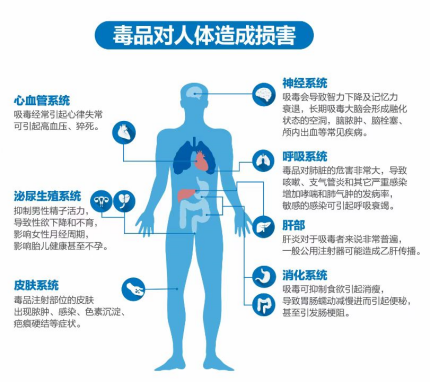 323896_1655888786106068.png 危害.png