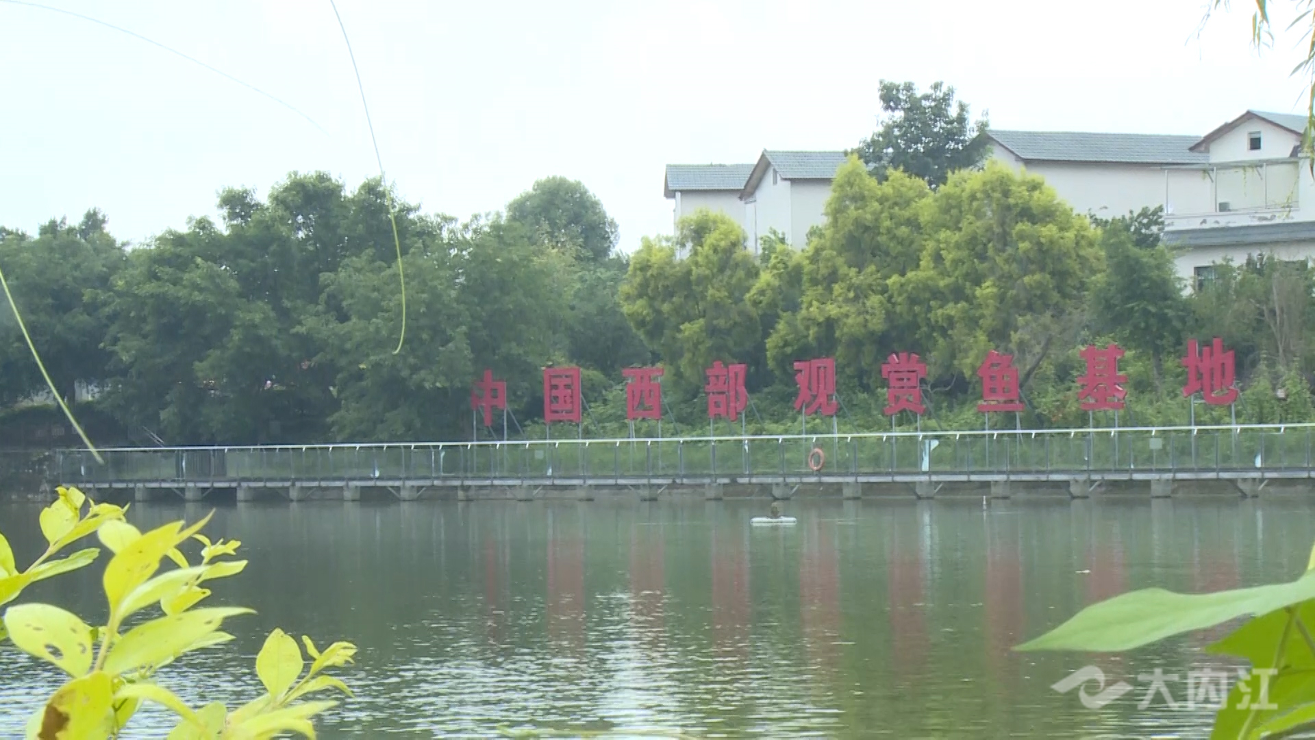 269955_1657596237766069.jpg 微信图片_202207121121011.jpg
