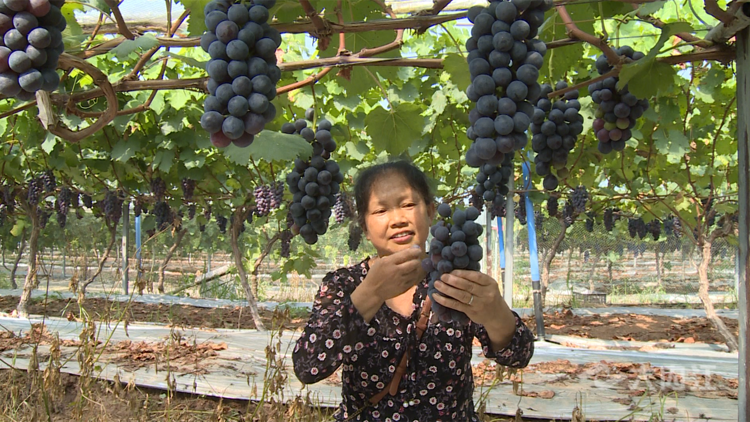 286144_1657268157153098.png 微信截图_20220708161510.png