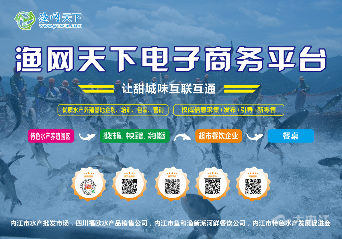 渔网天下.png
