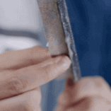 IMG_2180.GIF