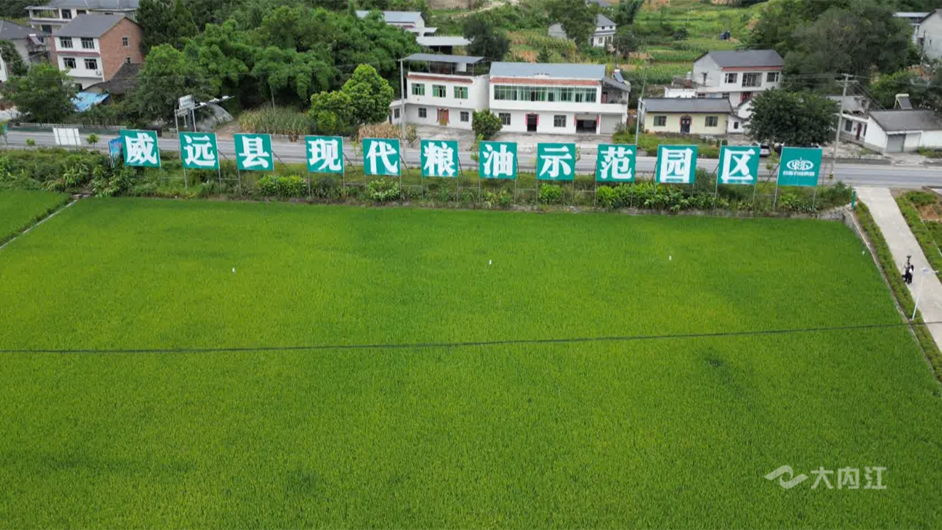 269955_1659596377712995.png 微信截图_20220804145234.png