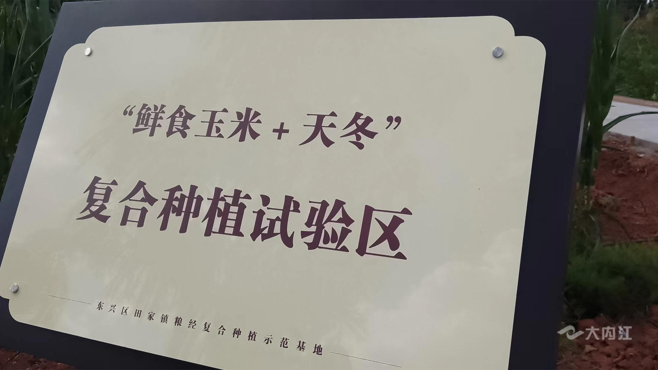 图片7.png