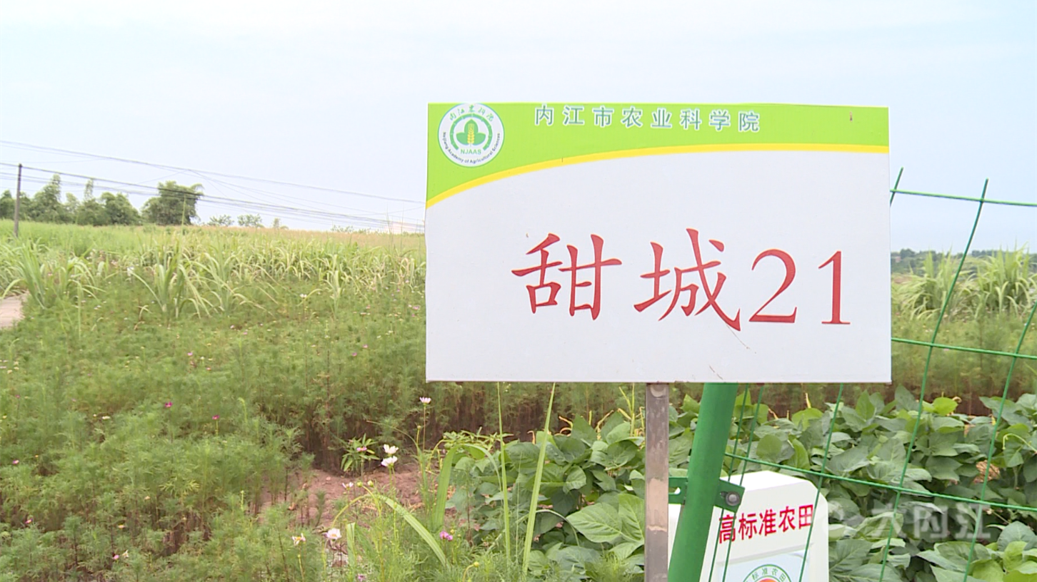 286144_1659665500597217.png 微信截图_20220805101033.png