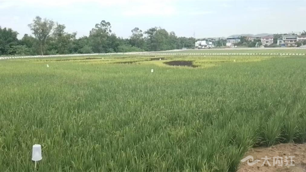 320608_1659944295210564.png 图片111.png